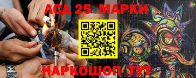 прущие грибы Краснодар