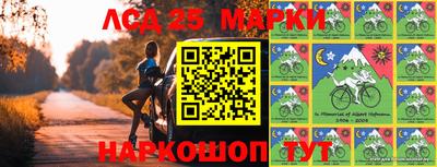 прущие грибы Краснодар