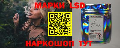 прущие грибы Краснодар