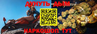 прущие грибы Краснодар