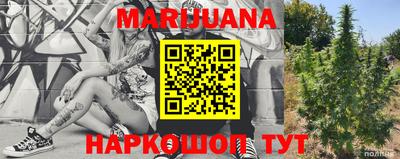 прущие грибы Краснодар