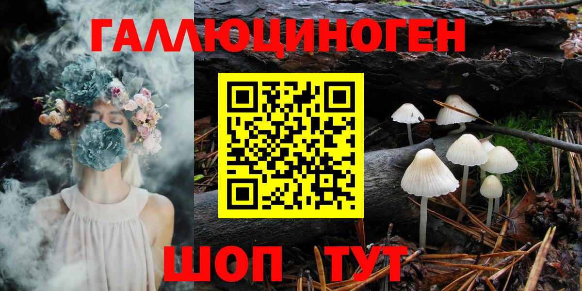 Галлюциногенные грибы Magic Shrooms  Галлюциногенные грибы GOLDEN TEACHER  где купить   Углич  Вход с VPN 